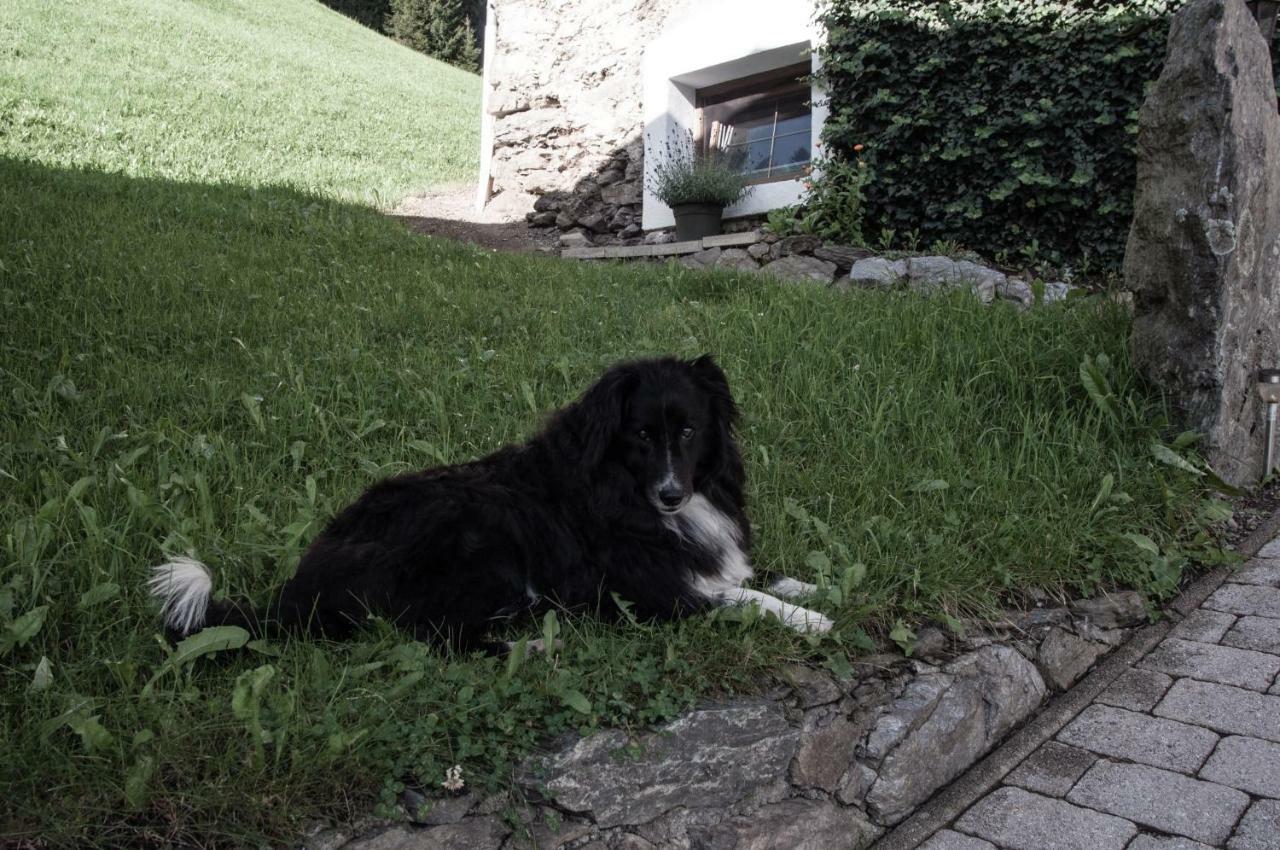 Appartement Reitlhof Wald im Pinzgau Kültér fotó